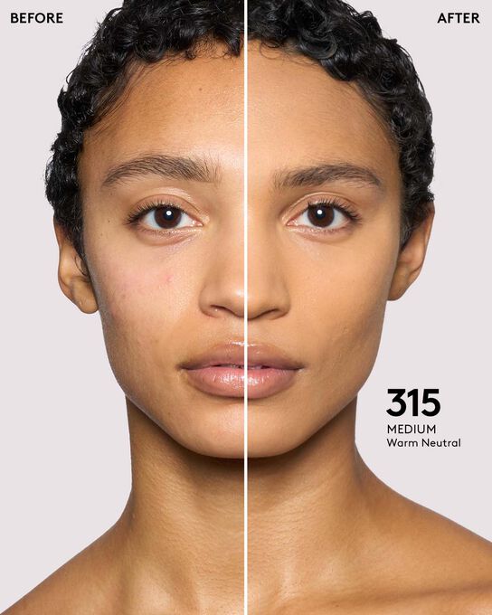 PRO FILT'R SOFT MATTE LONGWEAR FDT 315